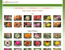 Tablet Screenshot of freeflowerpictures.net